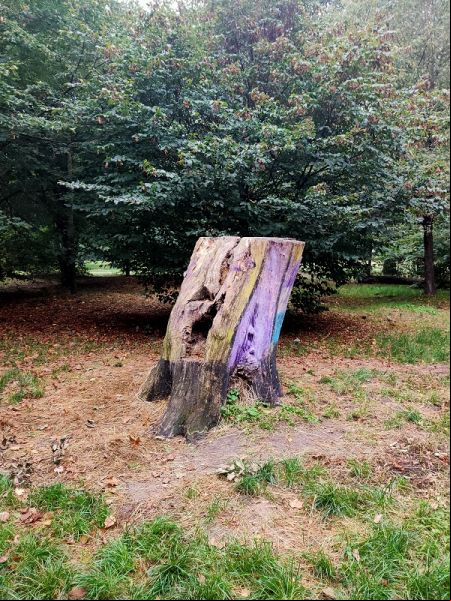 Tronc d'arbre