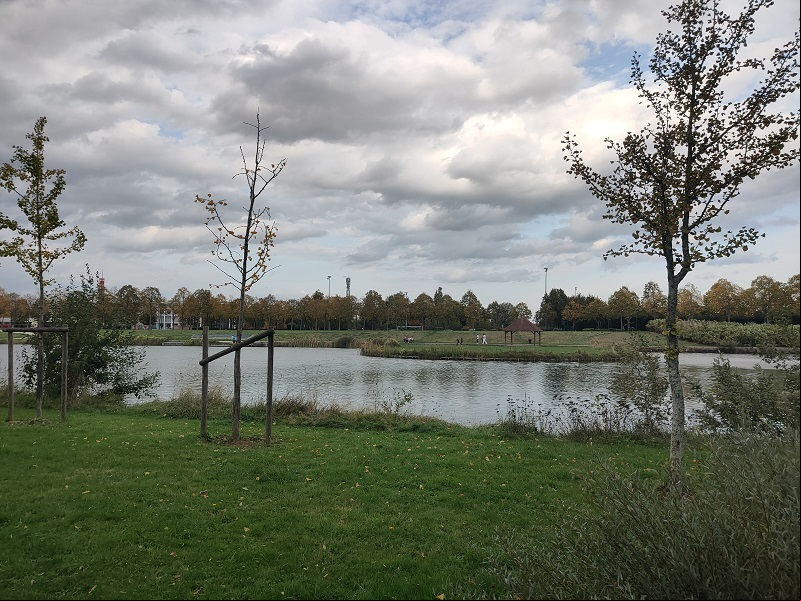 Parc et lac